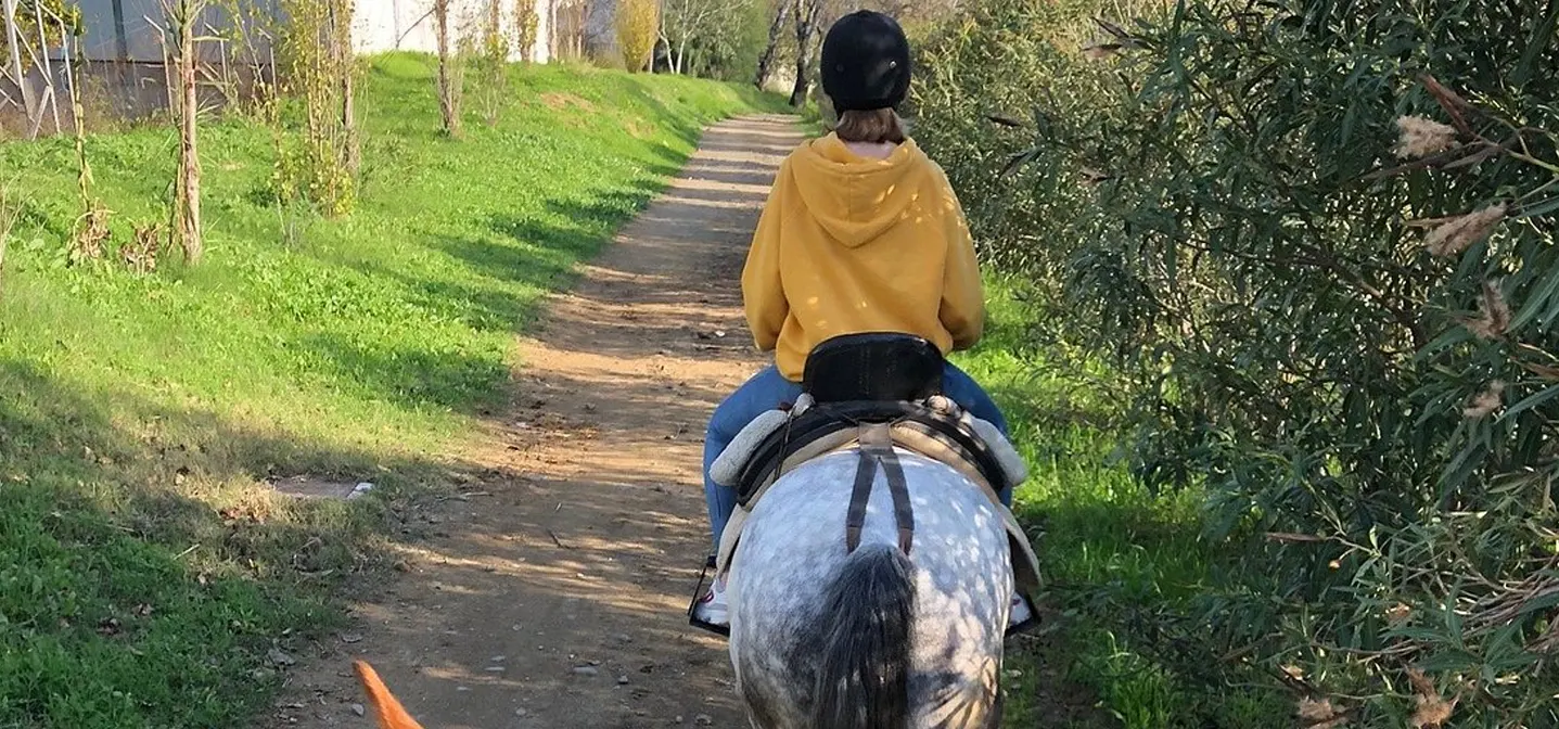 Horse riding Lalazar Park