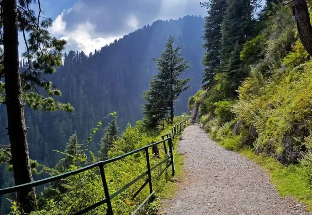 Pipeline track dunga gali near by mushkpuri top