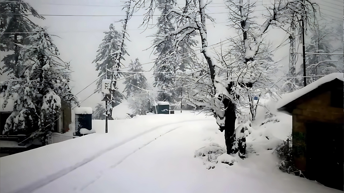 Nathia Gali with snowy mountain near Changla Gali Murree