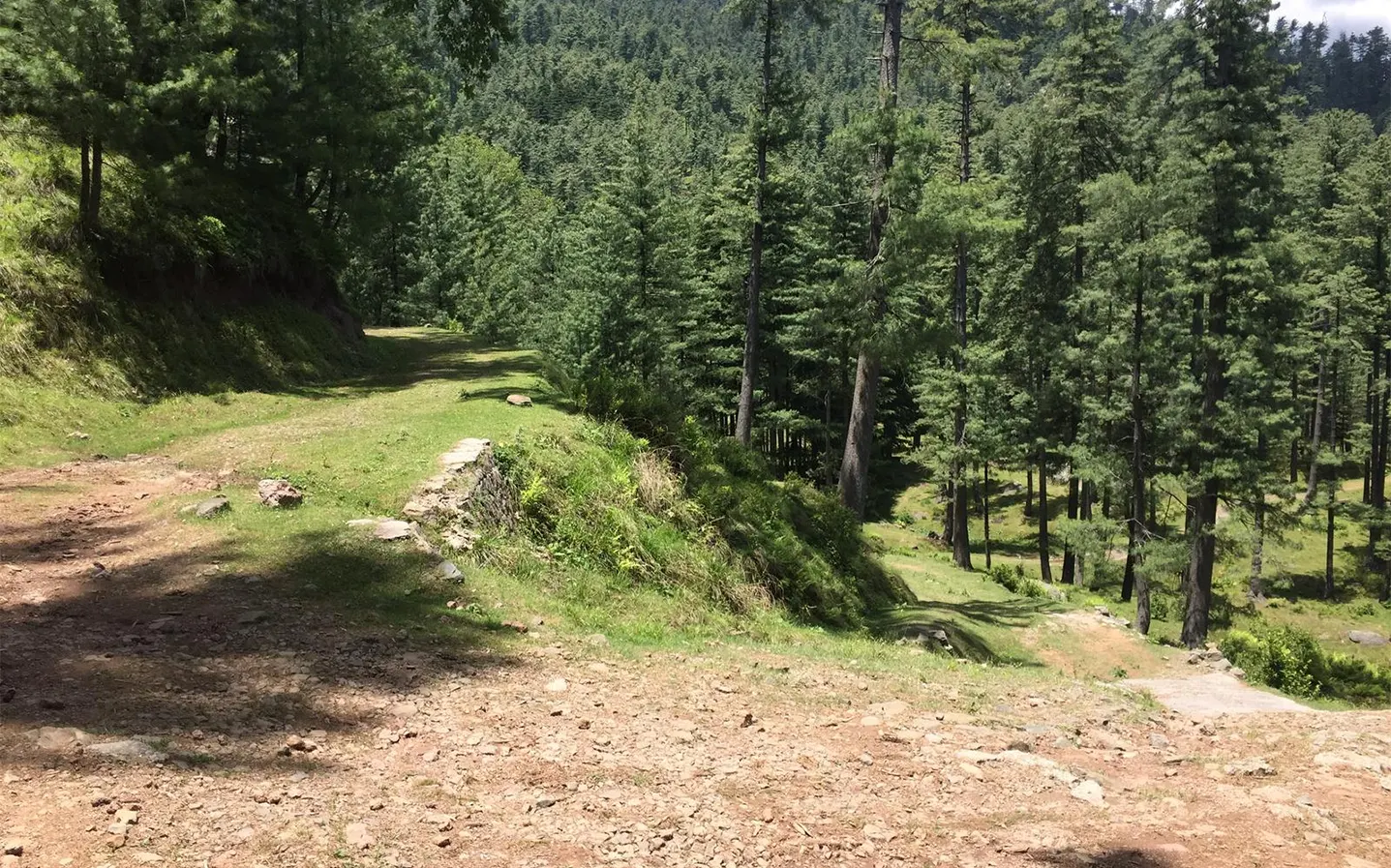 Hiking tracks at Chairlift Patriata Muree