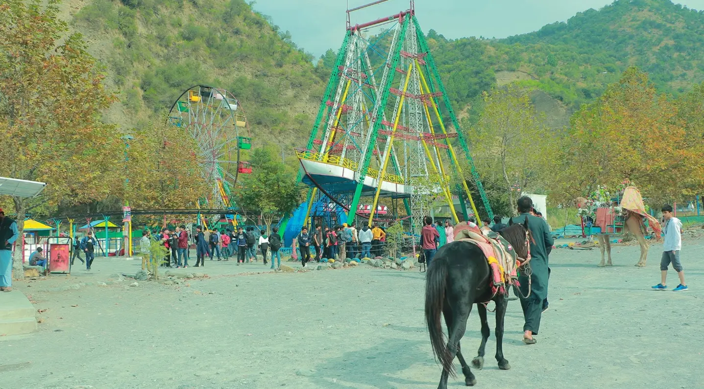 Families enjoying horse and camel rides while exploring scenic surroundings