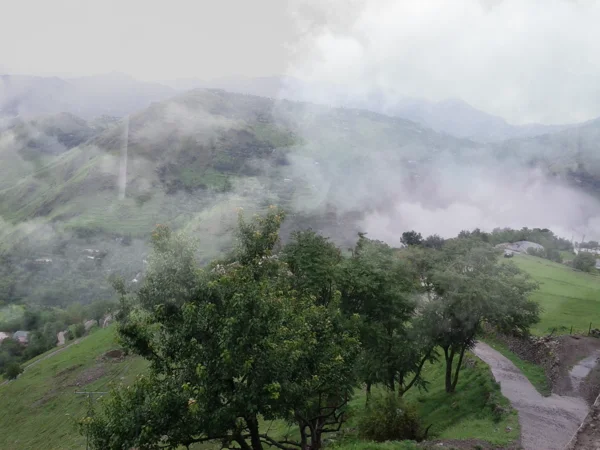 Lush green and scenic route to reach Ghora Gali from Islamabad